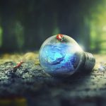 白石達也と東晃慈、それぞれのサービスを徹底比較！